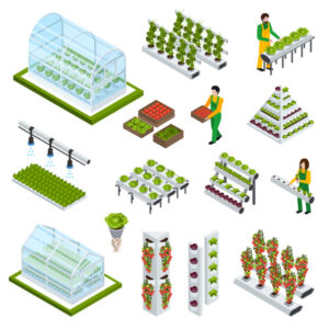 Types of Hydroponic Systems