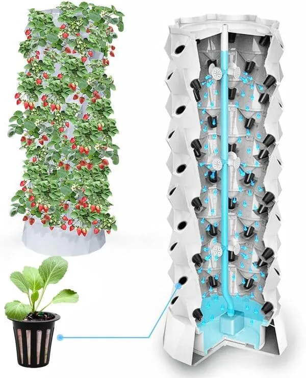 Vertical Farming Systems