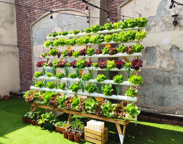 Vertical Farming Systems