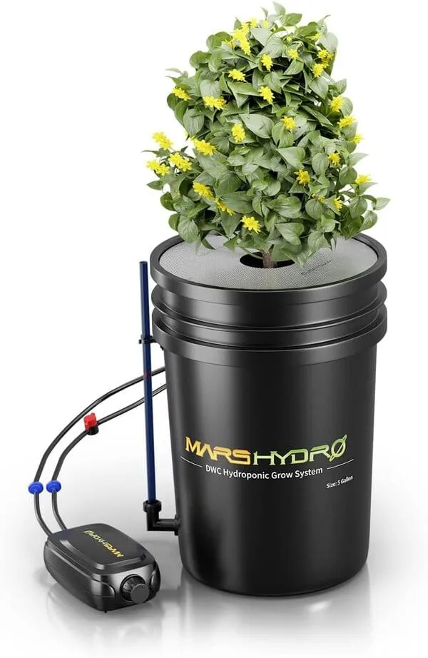 Best Plants for Indoor Hydroponic Gardening